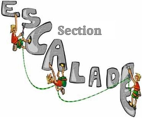 Logo Section Escalade CDS (1).jpg